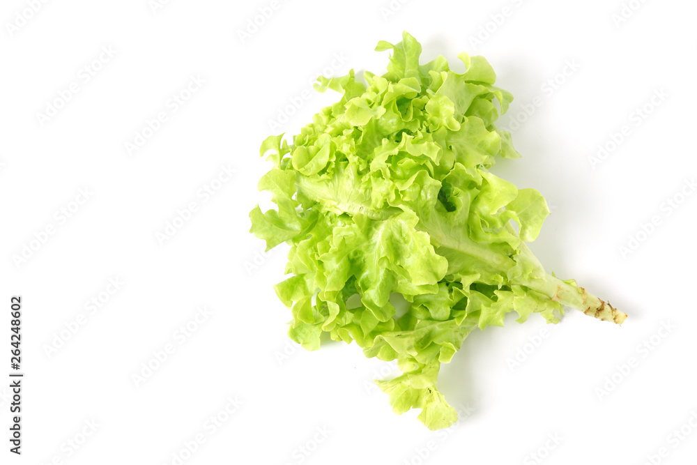 Top view Green oak leaf vegetable Healthy Food for salad isolated on white background Top view Green oak leaf vegetable Healthy Food for salad isolated on white background