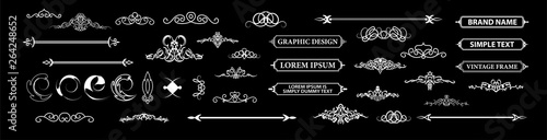 Vintage set decor elements. Decoration for logo