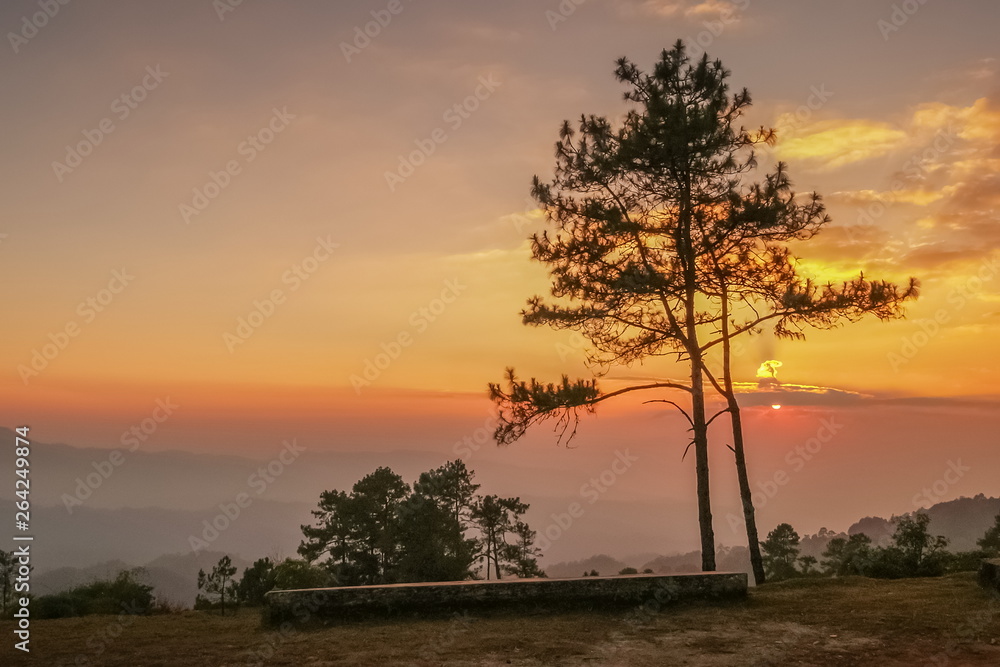 Silhouette of Pine Tree on the hill with colorful yellow and red sun light in the sky background, sunset at Huai Nam Dang National Park, Chiang Mai, northern of Thailand.