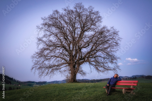 nice woman sitting on a red bench at blue hour in front of a huge leafless tree in early spring, Allgaeu area of the bavarian alps