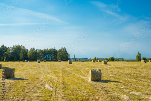 field with hay on a sunny day