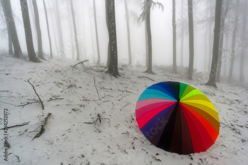 View of winter beech forest with colorful umbrella