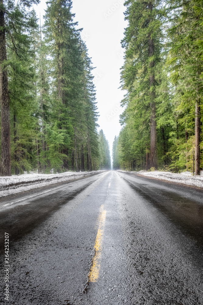 Naklejka premium Wet road