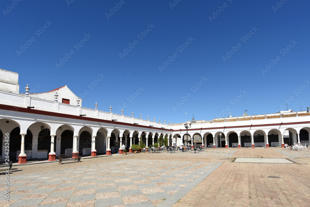 Market, old town of Carmona, Seville province, Andalusia, Spain