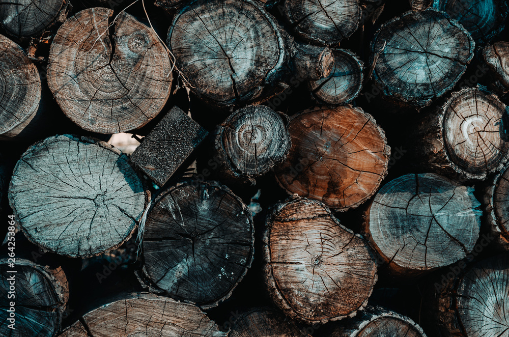 Naklejka premium Background of stacked logs,logs.Ecological method of heating.