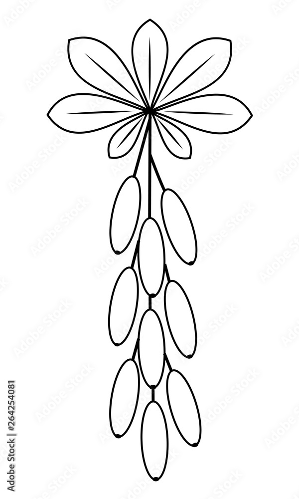 Obraz premium A branch of a beautiful barberry berry, a medicinal plant. Useful berries in medicine for cooking. Graphic image. Vector illustration.