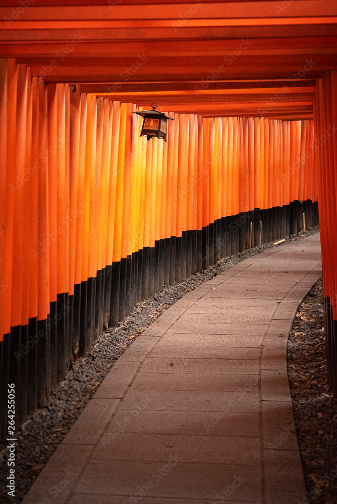 Fototapeta premium Red Torii gates in Fushimi Inari shrine