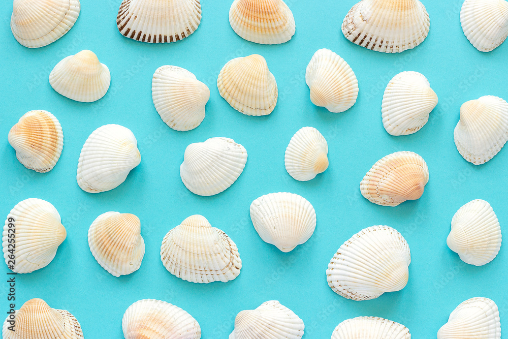 Set seashells on blue paper as background or texture. Top view Template for your design Set seashells on blue paper as background or texture. Top view Template for your design