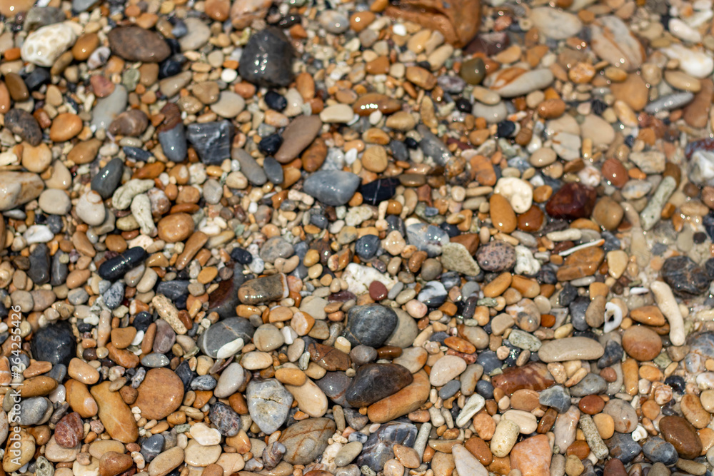 Naklejka premium Stone gravel, beach area stone gravel several colors and coral fragments at have shape rounded round caused because of sea waves make give objects bump together all the time cause beauty naturally.