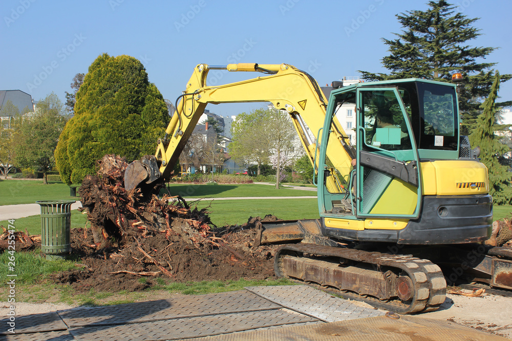 Dessouchage arbre jardin public-4791 Dessouchage arbre jardin public-4791