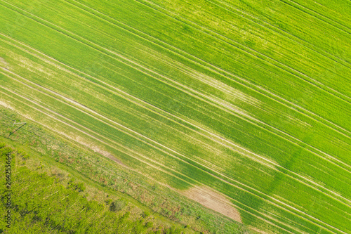 Aerial view of a lush green farm field