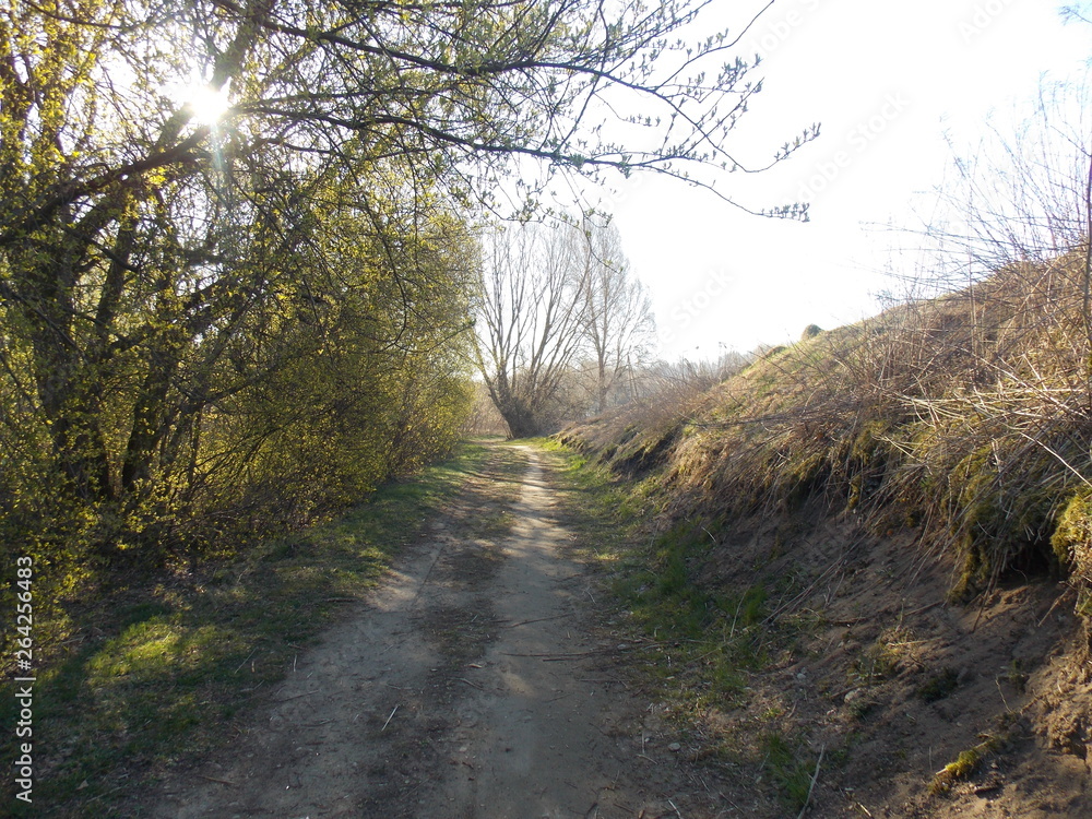 mazury mazury