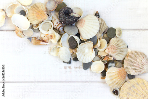 summer travel, sea shells, white wooden background