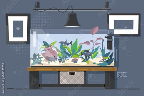 Aquarium. Natural aquarium with fish and plants Home aquarium