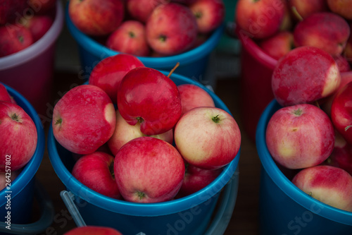 Red ripe apples in bucket. ...