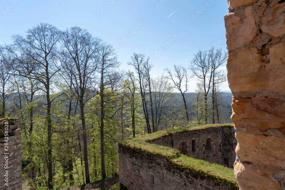 Pfalz Burg Gräfenstein