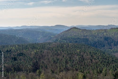 Pfalz Burg Gräfenstein