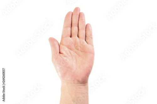 gesture: hand on a white background