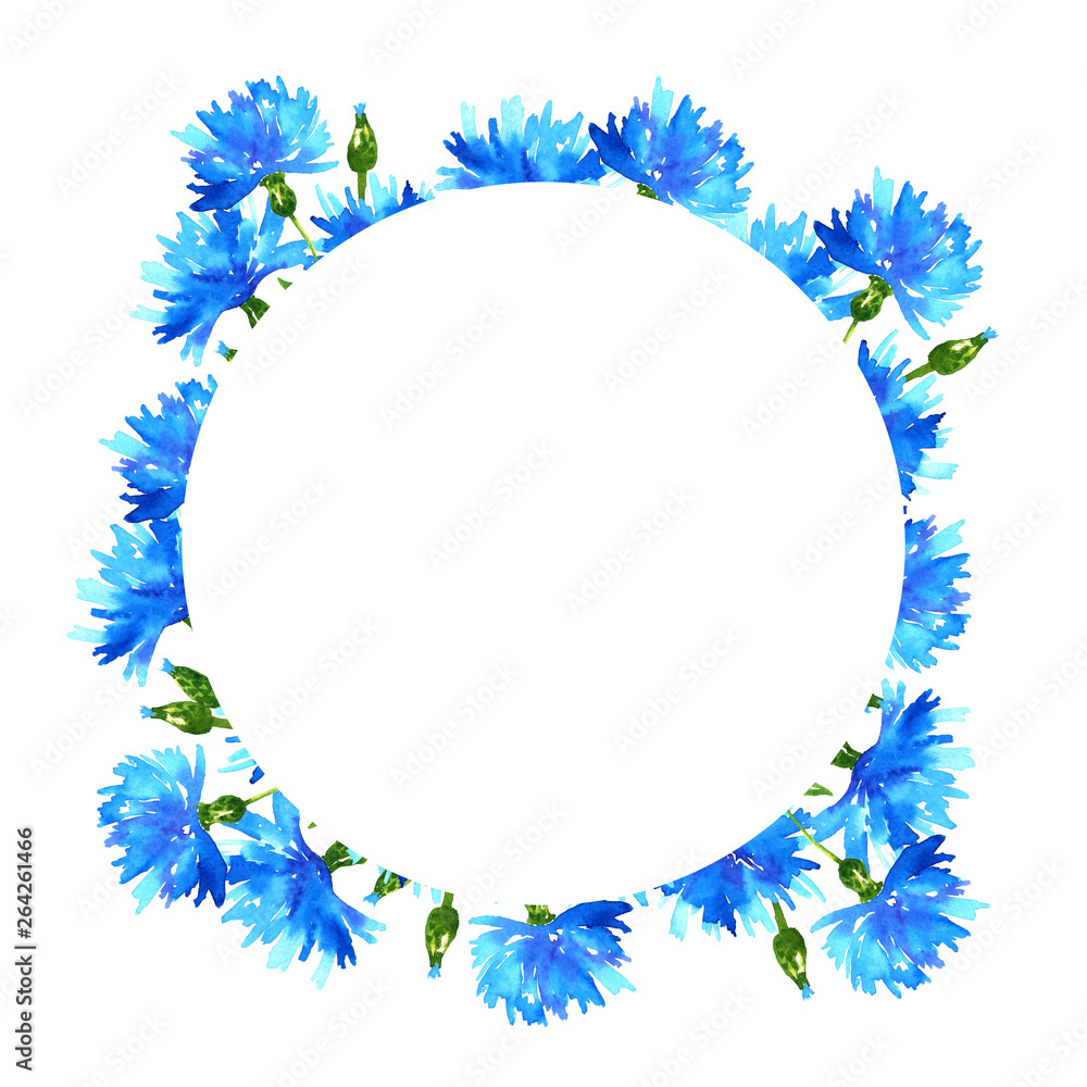 Wreath with cornflowers. Round frame with blue beautiful flowers. Hand drawn watercolor illustration. Isolated on white background. Wreath with cornflowers. Round frame with blue beautiful flowers. Hand drawn watercolor illustration. Isolated on white background.
