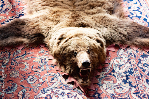 Stuffed bear on the floor. Photo of stuffed bear on the floor