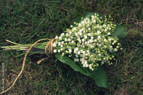 bouquet de muguet frîchement cueuilli dans le jardin photo