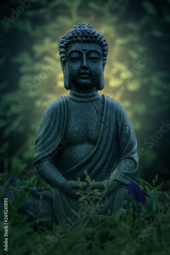 Buddha Statue in der Natur