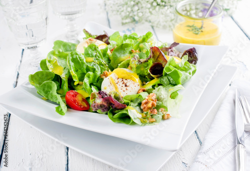 Traditioneller deutscher Sommer Salat mit Blattsalat, Ziegenküse und Mango Dressing als closeup auf einem Teller