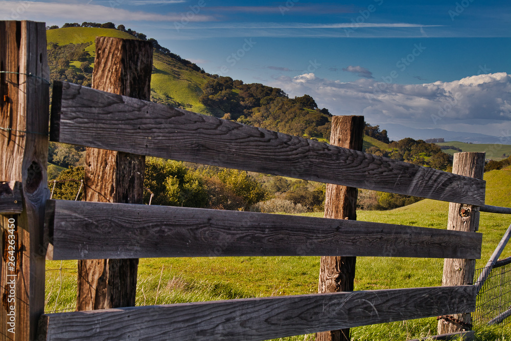 Wood fence in the hills of Petaluma, CA. (USA)