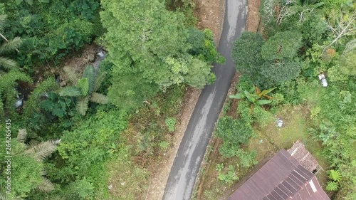 Indonesian rural rice fields