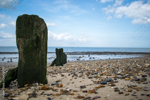 Beach with posts