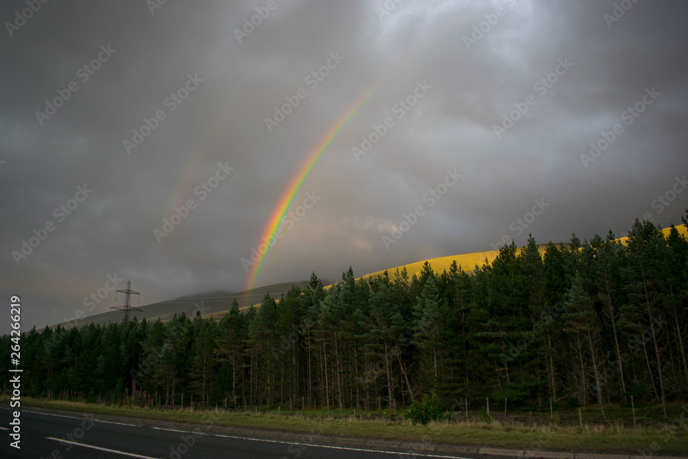 rainbow over field