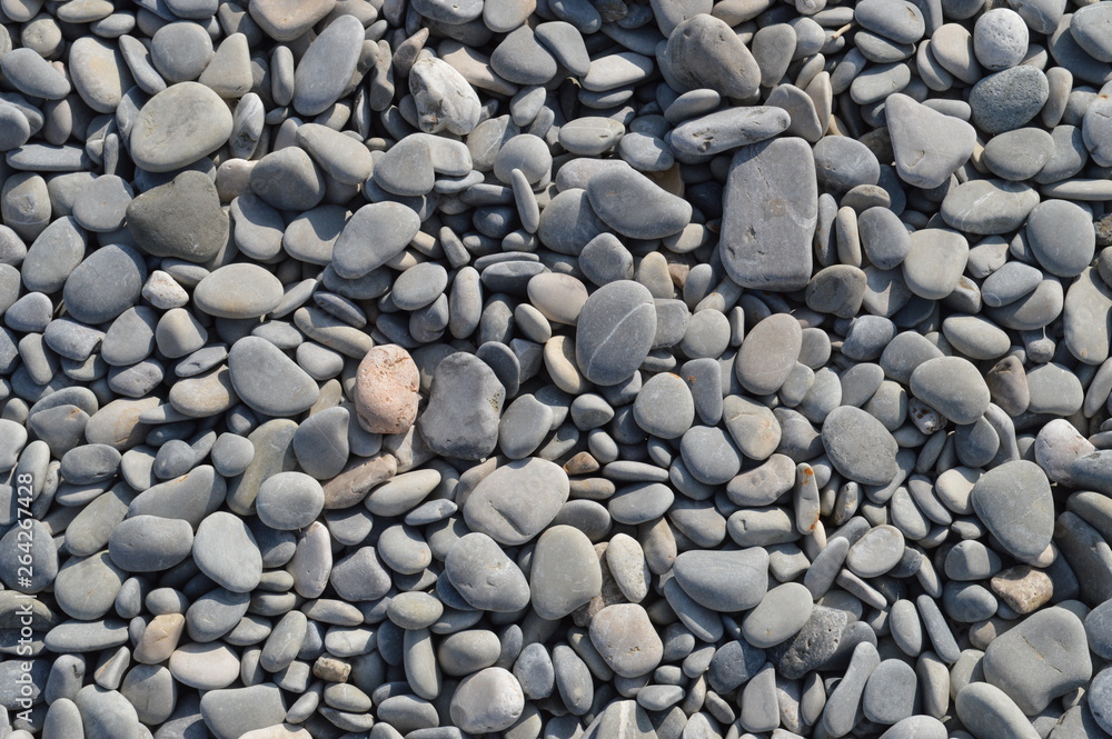 pebbles pebbles