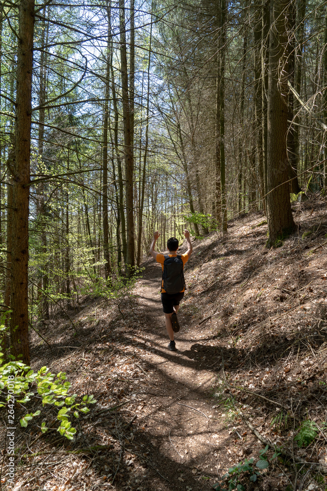 Pfalz/ Dahn / Wandern /Pfälzerwald / Deutschland Pfalz/ Dahn / Wandern /Pfälzerwald / Deutschland