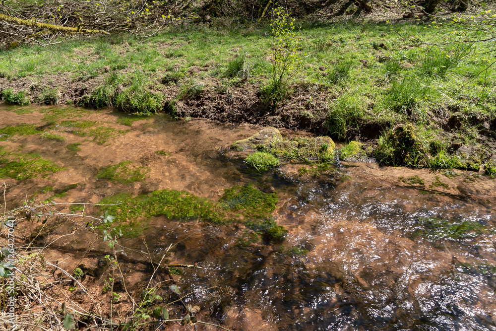 Pfalz/ Dahn / Wandern /Pfälzerwald / Deutschland Pfalz/ Dahn / Wandern /Pfälzerwald / Deutschland