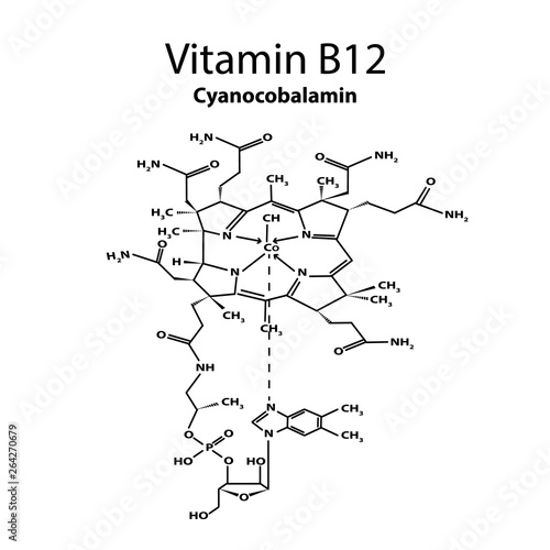 Vitamin B12. cyanocobalamin Molecular chemical formula. Infographics. Vector illustration on isolated background. photo