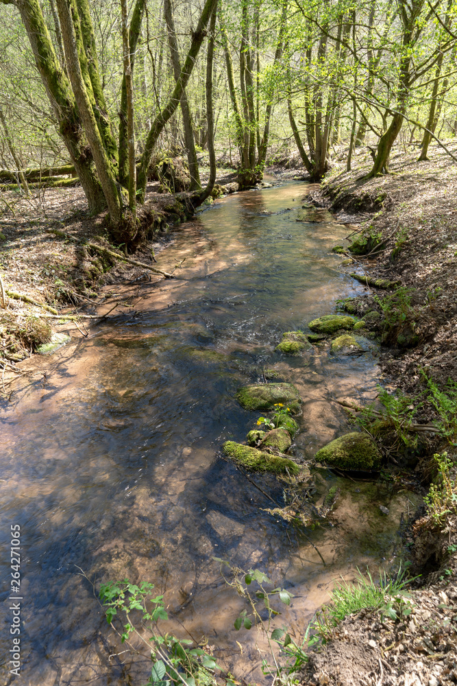 Pfalz/ Dahn / Wandern /Pfälzerwald / Deutschland Pfalz/ Dahn / Wandern /Pfälzerwald / Deutschland