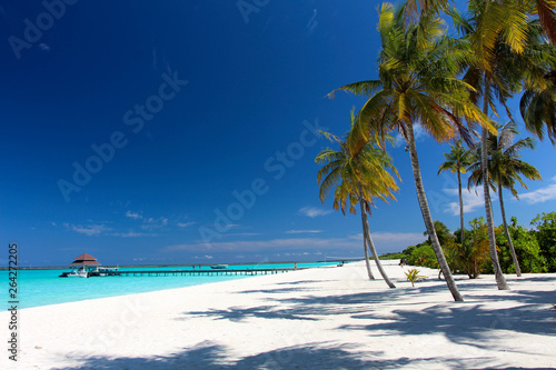 tropical beach with palm trees © Jj22jj