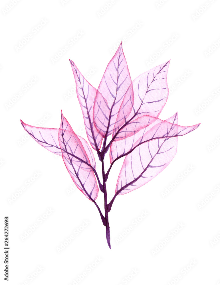 Watercolor transparent leaves. Hand painted pink leaves perfect for card making and label. Illustration