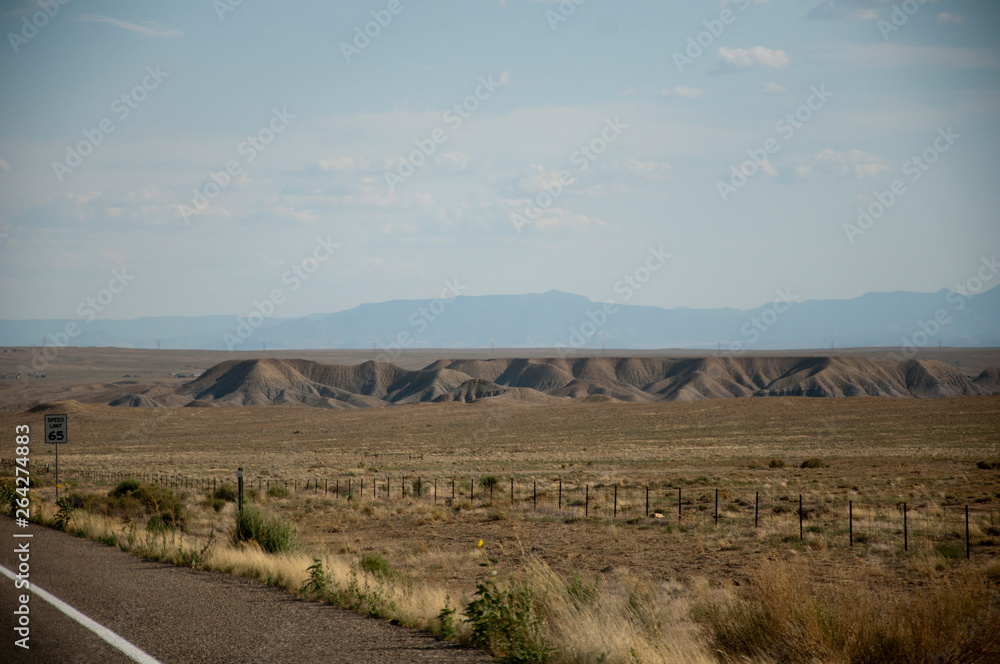 Naklejka premium Beside a road in desert USA