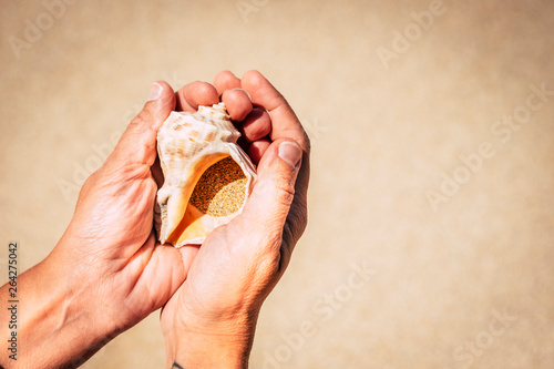 Close up for summer holiday vacation concept and respect for the nature outdoor planet - woman caucasian hands taking with care a shell full of sand at the beach - environment concept