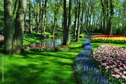 Obraz na płótnie Wiosenny park w salonie
