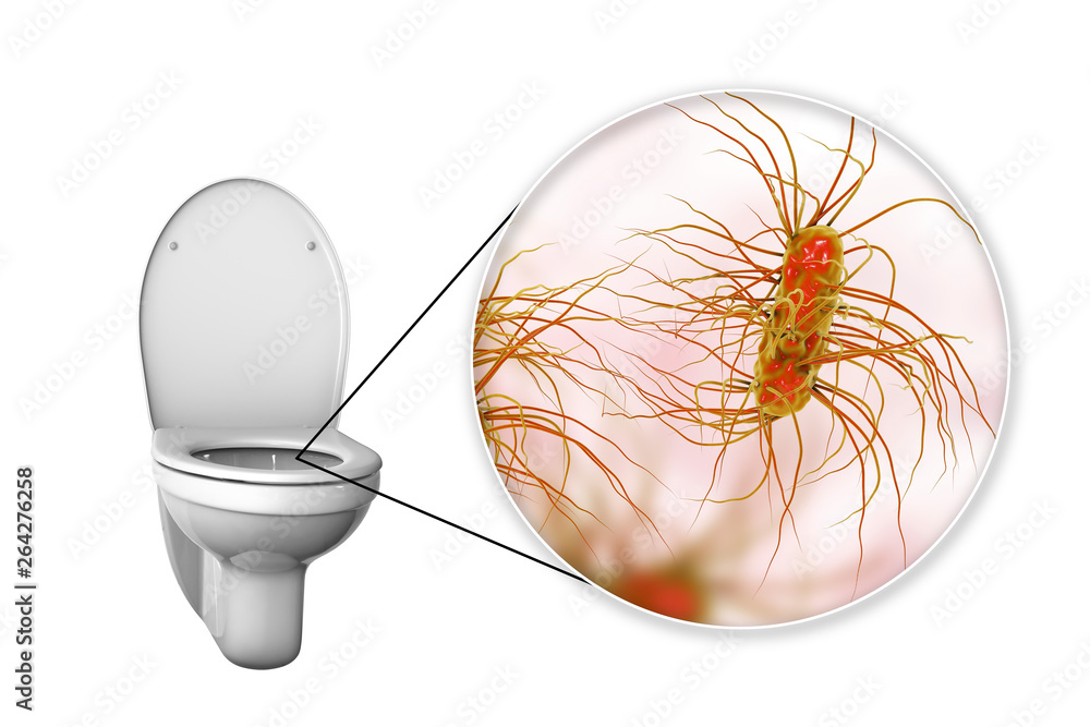 Toilet microbes, conceptual 3D illustration. Transmission of diarrheal