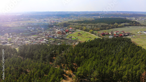 Aerial. Pine tree forest with cottage village on a backdrop.