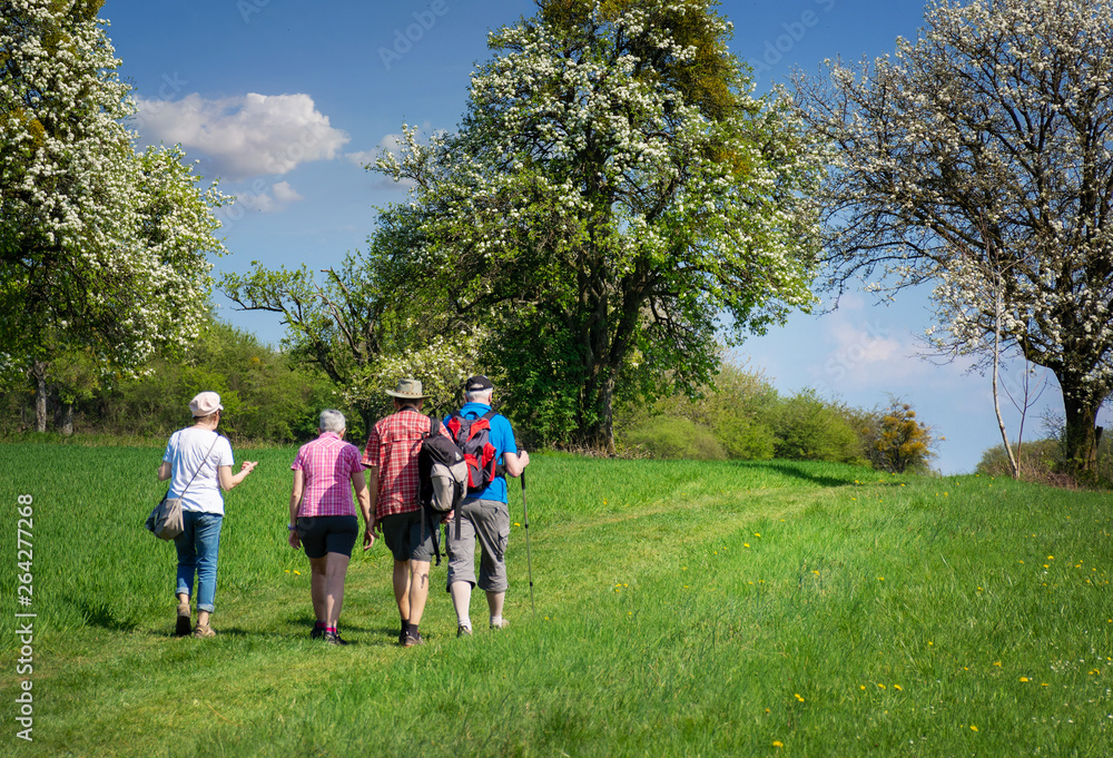 Obraz premium Saarland Landschaft Senioren wandern im Frühling bei Gisingen