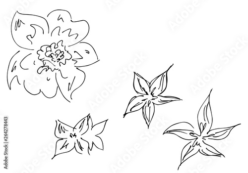 Hand Drawn Illustrations Of Abstract Set of Flowers Isolated on White. Hand Drawn Sketch of a Flowers