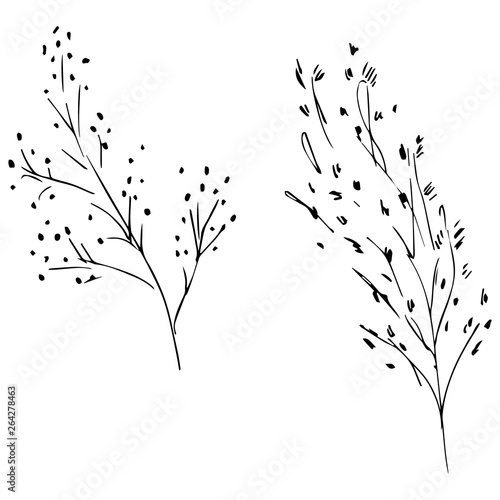 Hand Drawn  Illustrations Of Abstract Set of leaves Isolated on White. Hand Drawn Sketch of a leaves
