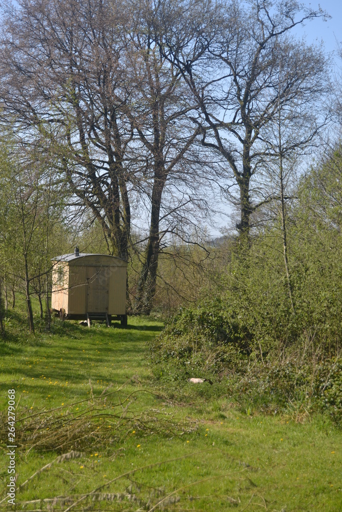 custom made wallpaper toronto digitalTrailer Home