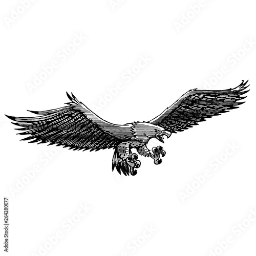 illustration of an eagle fisherman in an old fashioned way