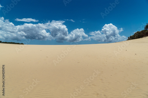 Blick auf Carlo Sand Blow bei Rainbow Beach in Queensland  Australien