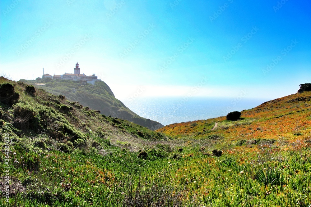 Carpobrotus Edulis meadow surrounding Cabo da Roca lighthouse in Portugal